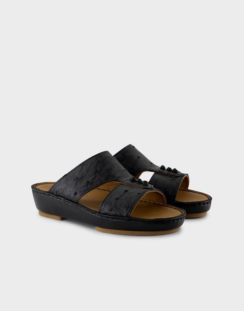 HADDAD OSTRICH Junior